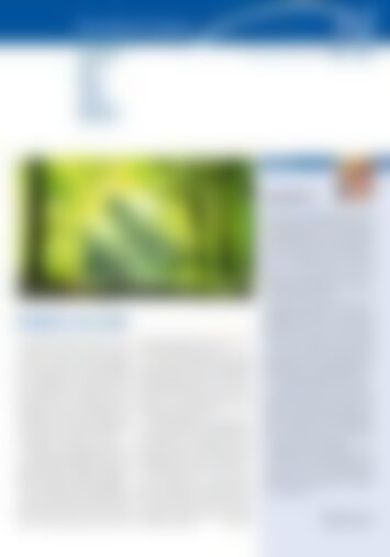 5 | Einsiedeln, Bennau, Egg, Euthal, Gross, Trachslau, Willerzell 11/2024