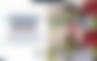 PFERD+SPORT 05/24 | Holsteiner: Hengsttage und Frühjahrsauktion
