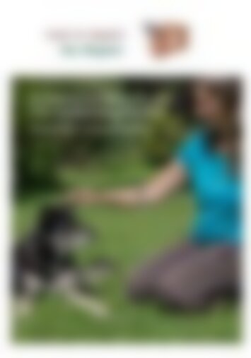 Leseprobe: 2. Miniausgabe von "Hund im Gepäck - das Magazin"