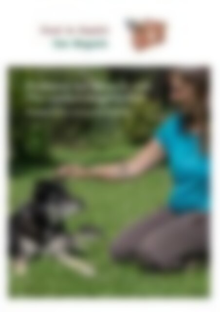 Leseprobe: 2. Miniausgabe von "Hund im Gepäck - das Magazin"