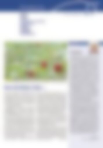 1 | Altdorf, Flüelen, Sisikon, Seedorf, Bauen, Isenthal, Attinghausen, Bürglen, Schattdorf, Spiringen, Unterschächen 17/2024