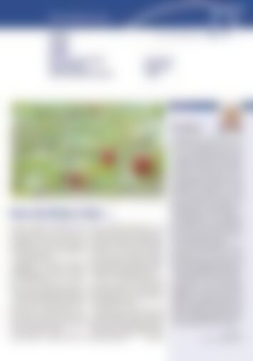 2 | Erstfeld, Silenen, Amsteg, Bristen, Gurtnellen, Wassen, Meien, Göschenen, Göscheneralp, Andermatt, Hospental, Realp 17/2024