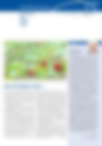 3 | Arth, Goldau, Lauerz, Sattel, Steinerberg 17/2024