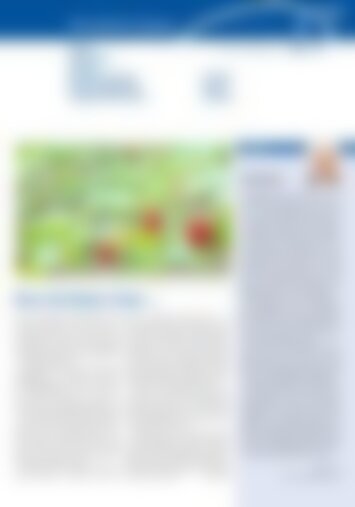 4 | Schwyz, Ibach, Seewen und Muotathal, Illgau, Ingenbohl-Brunnen, Kloster Ingenbohl, Gersau, Morschach, Stoos 17/2024