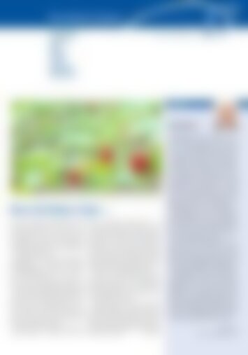 5 | Einsiedeln, Bennau, Egg, Euthal, Gross, Trachslau, Willerzell 17/2024