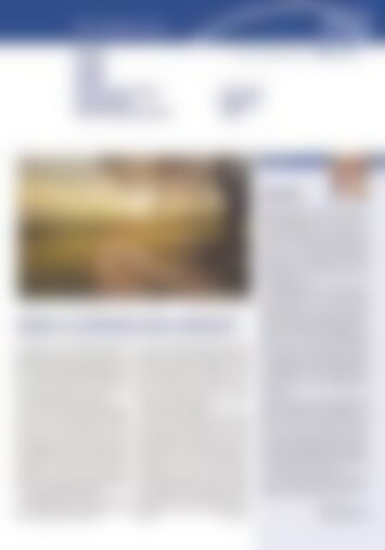 2 | Erstfeld, Silenen, Amsteg, Bristen, Gurtnellen, Wassen, Meien, Göschenen, Göscheneralp, Andermatt, Hospental, Realp 19/2024