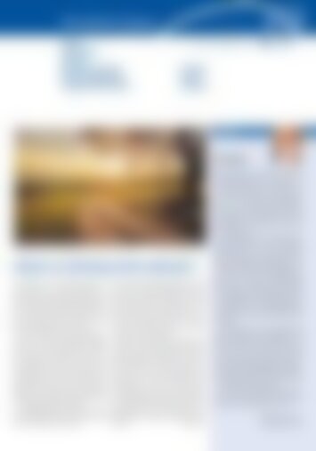 4 | Schwyz, Ibach, Seewen und Muotathal, Illgau, Ingenbohl-Brunnen, Kloster Ingenbohl, Gersau, Morschach, Stoos 19/2024