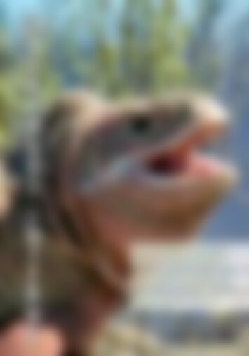 GI 2024 2 Fr